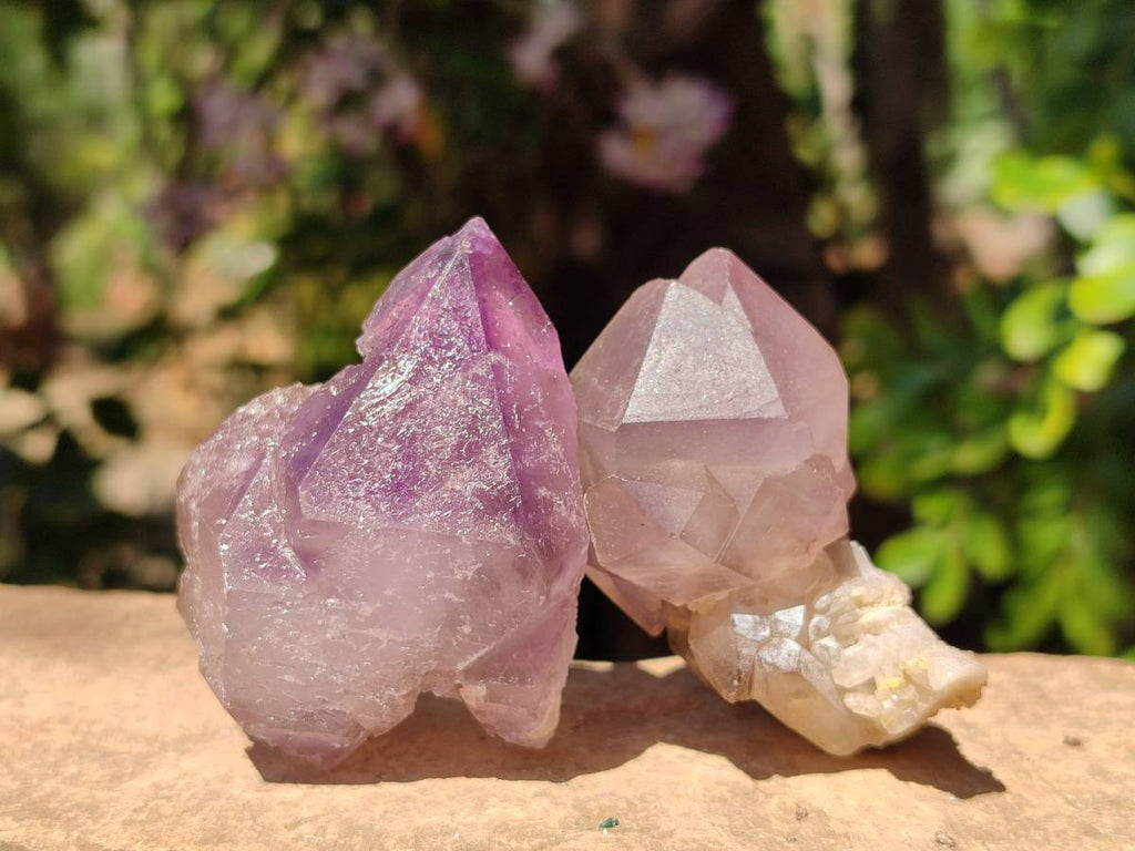 Natural Smokey Window Amethyst Crystals x 12 From Madagascar - Toprock Gemstones and Minerals 