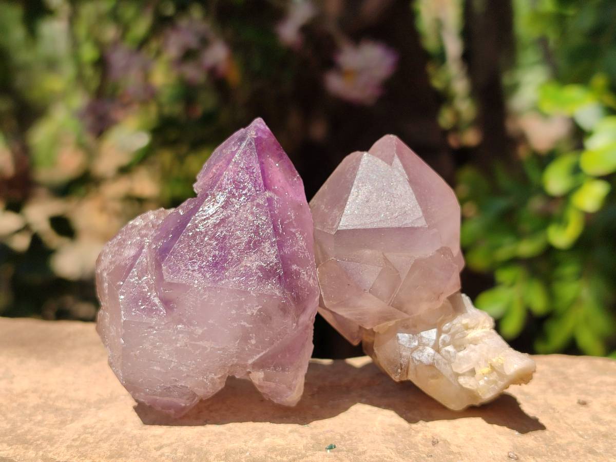 Natural Smokey Window Amethyst Crystals x 12 From Madagascar - Toprock Gemstones and Minerals 