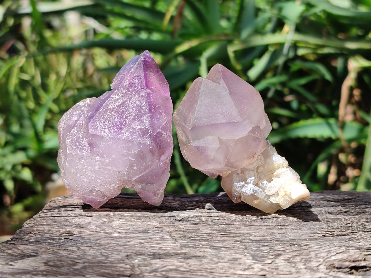 Natural Smokey Window Amethyst Crystals x 12 From Madagascar - Toprock Gemstones and Minerals 