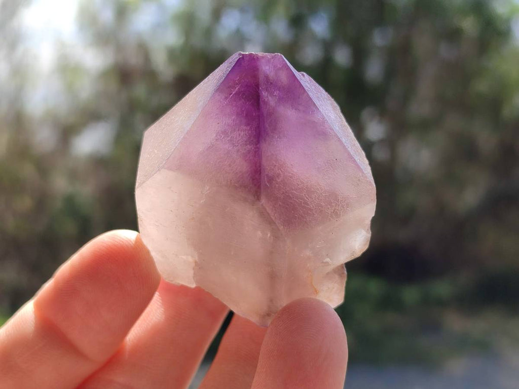 Natural Smokey Window Amethyst Crystals x 12 From Madagascar - Toprock Gemstones and Minerals 