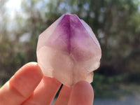 Natural Smokey Window Amethyst Crystals x 12 From Madagascar