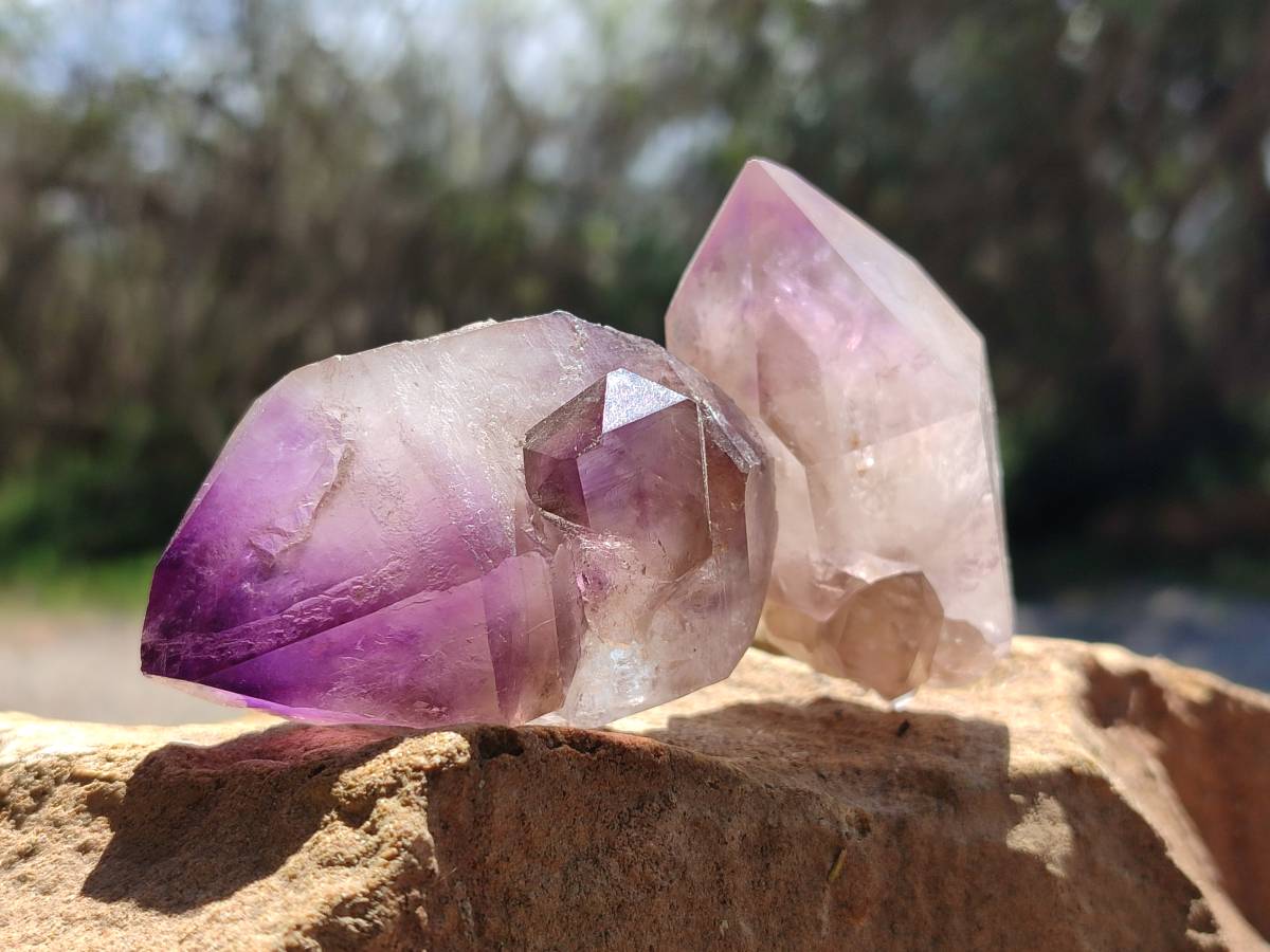Natural Smokey Window Amethyst Crystals x 12 From Madagascar - Toprock Gemstones and Minerals 