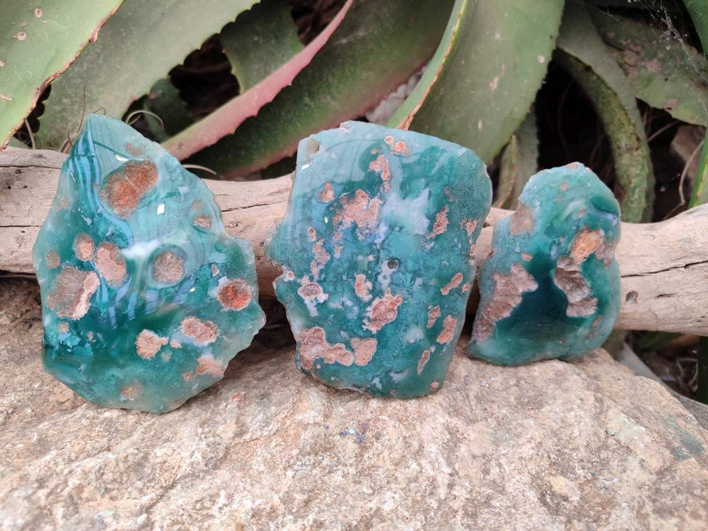 Polished On One Side Mtorolite Plates x 4 From Mutorashanga, Zimbabwe - Toprock Gemstones and Minerals 