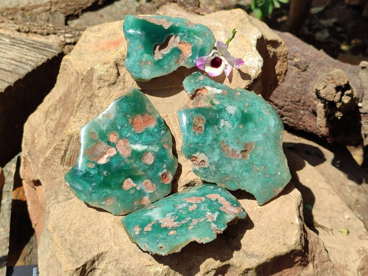 Polished On One Side Mtorolite Plates x 4 From Mutorashanga, Zimbabwe - Toprock Gemstones and Minerals 