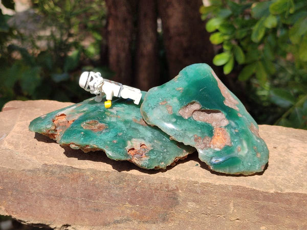 Polished On One Side Mtorolite Plates x 4 From Mutorashanga, Zimbabwe