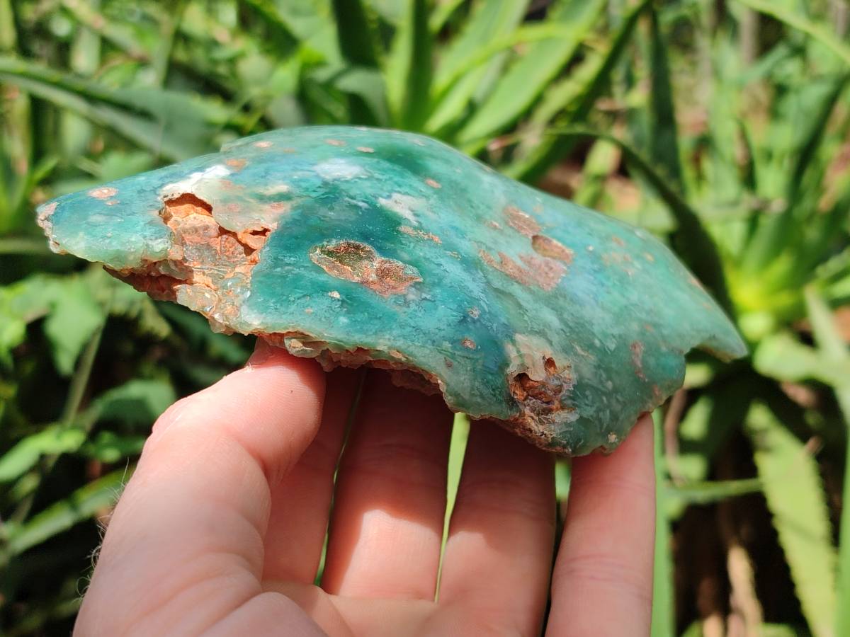 Polished On One Side Mtorolite Plates x 4 From Mutorashanga, Zimbabwe - Toprock Gemstones and Minerals 