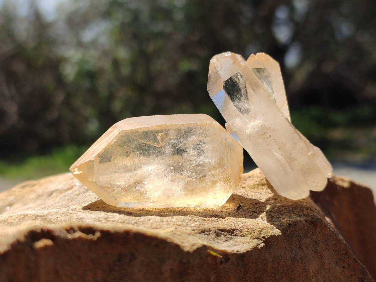 Natural Double Terminated Quartz Crystals x 55 From Madagascar - Toprock Gemstones and Minerals 