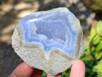 Polished Blue Lace Agate Geode Specimens x 6 From Nsanje, Malawi