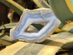 Polished Blue Lace Agate Geode Specimens x 6 From Nsanje, Malawi - Toprock Gemstones and Minerals 