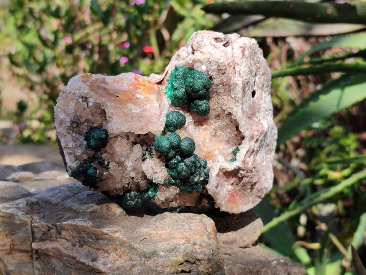 Natural Crystalline Ball Malachite and Drusy Quartz On Dolomite Matrix Specimen x 1 From Kambove, Congo - Toprock Gemstones and Minerals 