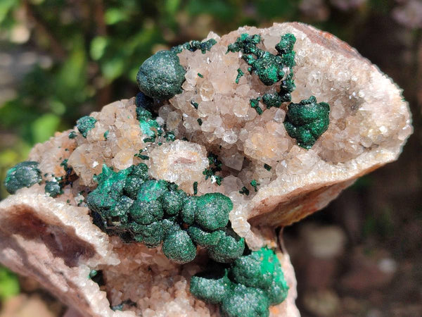 Natural Crystalline Ball Malachite and Drusy Quartz On Dolomite Matrix Specimen x 1 From Kambove, Congo