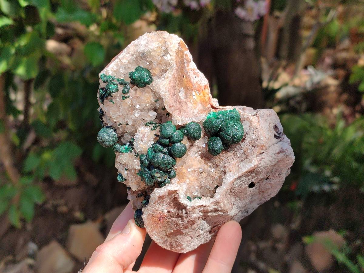 Natural Crystalline Ball Malachite and Drusy Quartz On Dolomite Matrix Specimen x 1 From Kambove, Congo - Toprock Gemstones and Minerals 