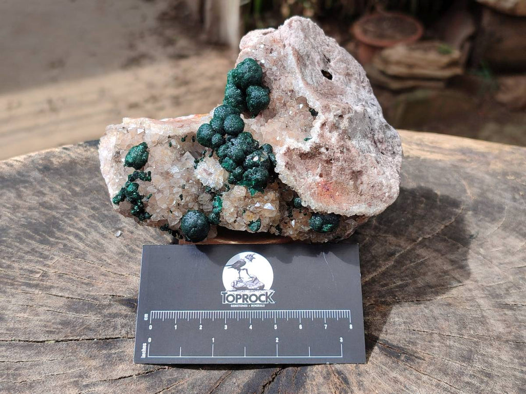 Natural Crystalline Ball Malachite and Drusy Quartz On Dolomite Matrix Specimen x 1 From Kambove, Congo - Toprock Gemstones and Minerals 