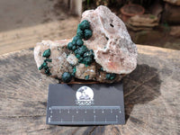 Natural Crystalline Ball Malachite and Drusy Quartz On Dolomite Matrix Specimen x 1 From Kambove, Congo