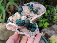 Natural Crystalline Ball Malachite and Drusy Quartz On Dolomite Matrix Specimen x 1 From Kambove, Congo
