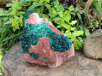 Natural Dioptase On Dolomite Specimens x 1 From Likasi, Congo - Toprock Gemstones and Minerals 