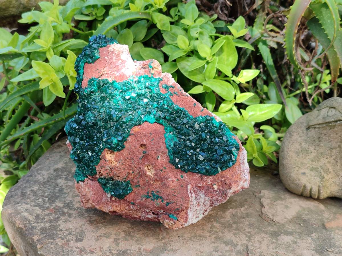 Natural Dioptase On Dolomite Specimens x 1 From Likasi, Congo - Toprock Gemstones and Minerals 