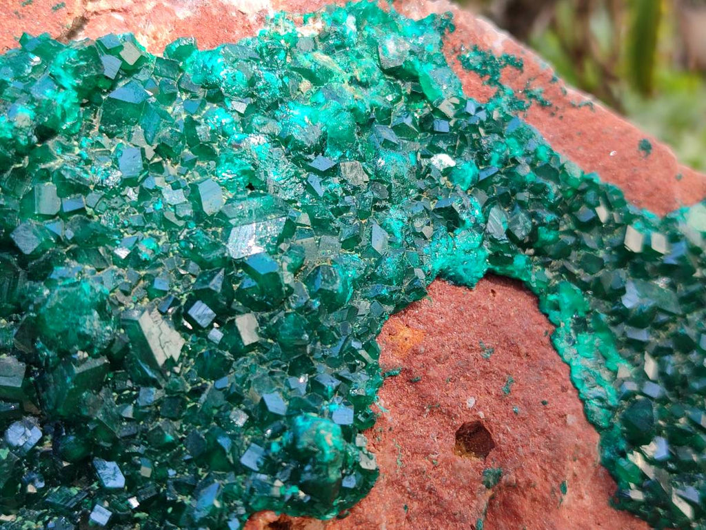 Natural Dioptase On Dolomite Specimens x 1 From Likasi, Congo - Toprock Gemstones and Minerals 