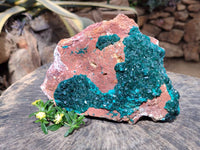 Natural Dioptase On Dolomite Specimens x 1 From Likasi, Congo