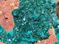 Natural Dioptase On Dolomite Specimens x 1 From Likasi, Congo