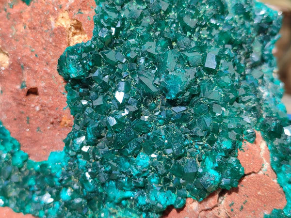 Natural Dioptase On Dolomite Specimens x 1 From Likasi, Congo