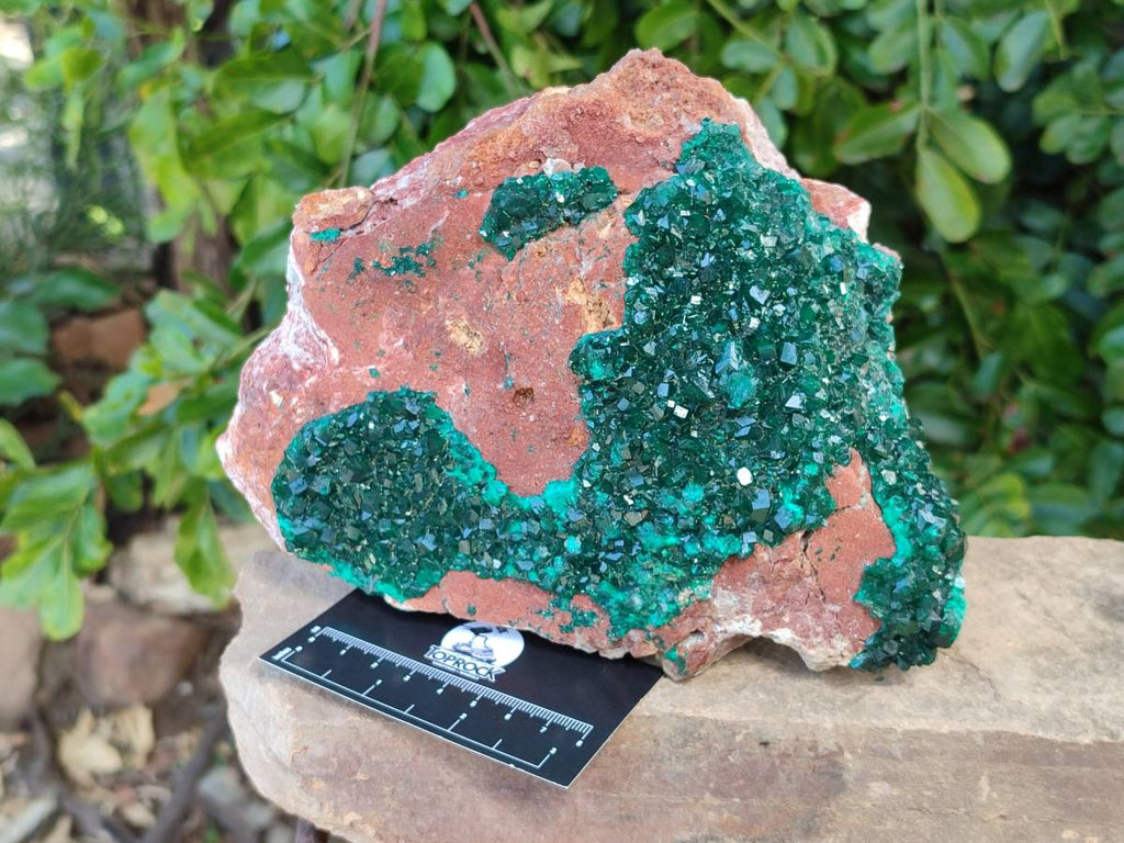 Natural Dioptase On Dolomite Specimens x 1 From Likasi, Congo - Toprock Gemstones and Minerals 