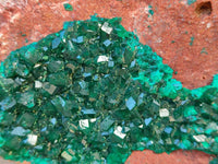 Natural Dioptase On Dolomite Specimens x 1 From Likasi, Congo
