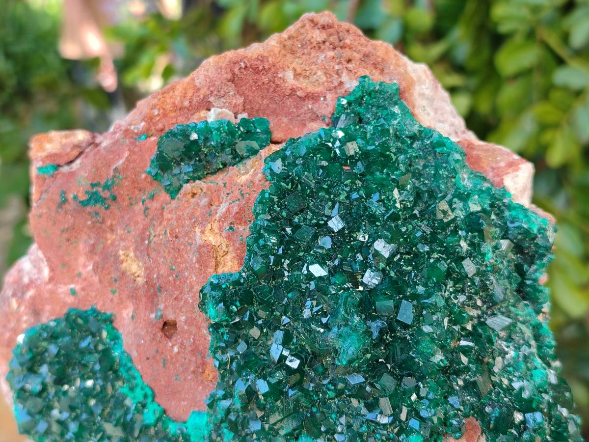Natural Dioptase On Dolomite Specimens x 1 From Likasi, Congo - Toprock Gemstones and Minerals 