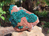 Natural Dioptase On Dolomite Specimens x 1 From Likasi, Congo