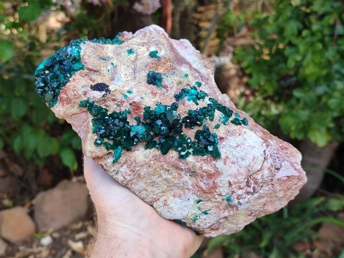 Natural Dioptase On Dolomite Specimens x 1 From Likasi, Congo - Toprock Gemstones and Minerals 