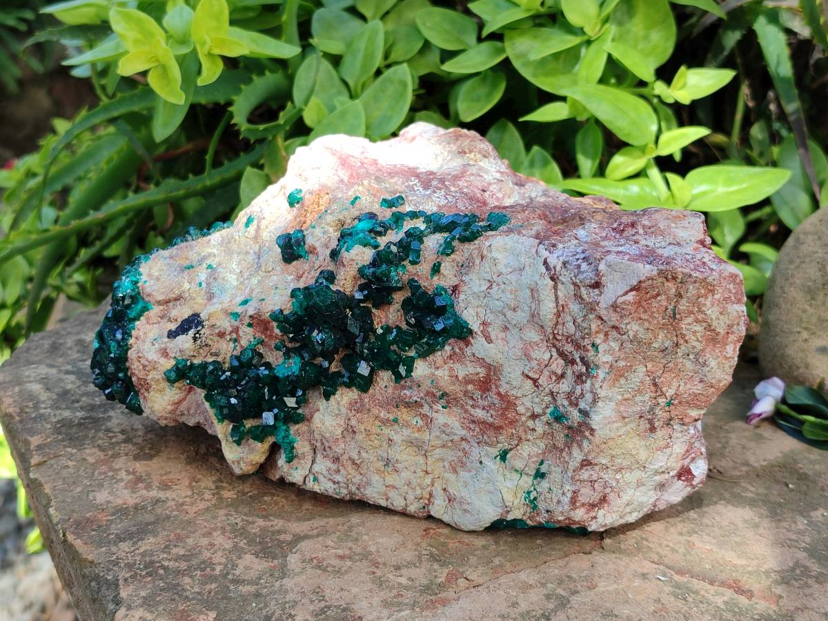 Natural Dioptase On Dolomite Specimens x 1 From Likasi, Congo - Toprock Gemstones and Minerals 