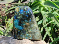 Polished Labradorite Standing Free Form x 1 From Tulear, Madagascar