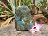 Polished Labradorite Standing Free Form x 1 From Tulear, Madagascar