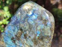 Polished Labradorite Standing Free Form x 1 From Tulear, Madagascar