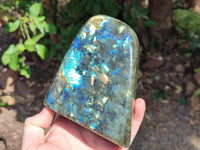 Polished Labradorite Standing Free Form x 1 From Tulear, Madagascar