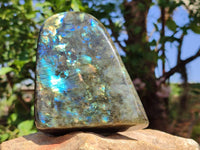 Polished Labradorite Standing Free Form x 1 From Tulear, Madagascar