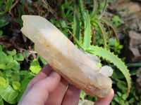 Natural Mixed Normal and Candle Quartz Crystal Clusters x 6 From Antsirabe, Madagascar