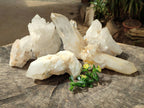 Natural Mixed Normal and Candle Quartz Crystal Clusters x 6 From Antsirabe, Madagascar - Toprock Gemstones and Minerals 