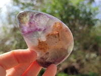 Polished Stichtite And Watermelon Fluorite Free Forms x 6 From Southern Africa
