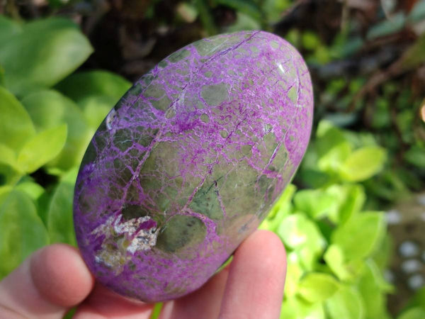 Polished Stichtite And Watermelon Fluorite Free Forms x 6 From Southern Africa