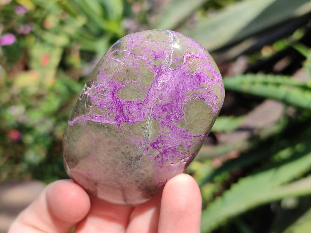 Polished Stichtite And Watermelon Fluorite Free Forms x 6 From Southern Africa - Toprock Gemstones and Minerals 