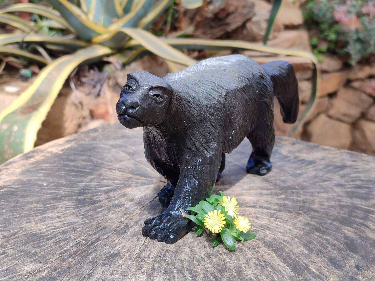 Polished Groovy Black Soapstone Honey Badger Carving x 1 From Zimbabwe - Toprock Gemstones and Minerals 