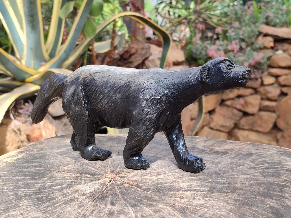 Polished Groovy Black Soapstone Honey Badger Carving x 1 From Zimbabwe - Toprock Gemstones and Minerals 