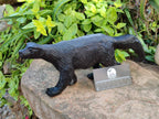 Polished Groovy Black Soapstone Honey Badger Carving x 1 From Zimbabwe - Toprock Gemstones and Minerals 