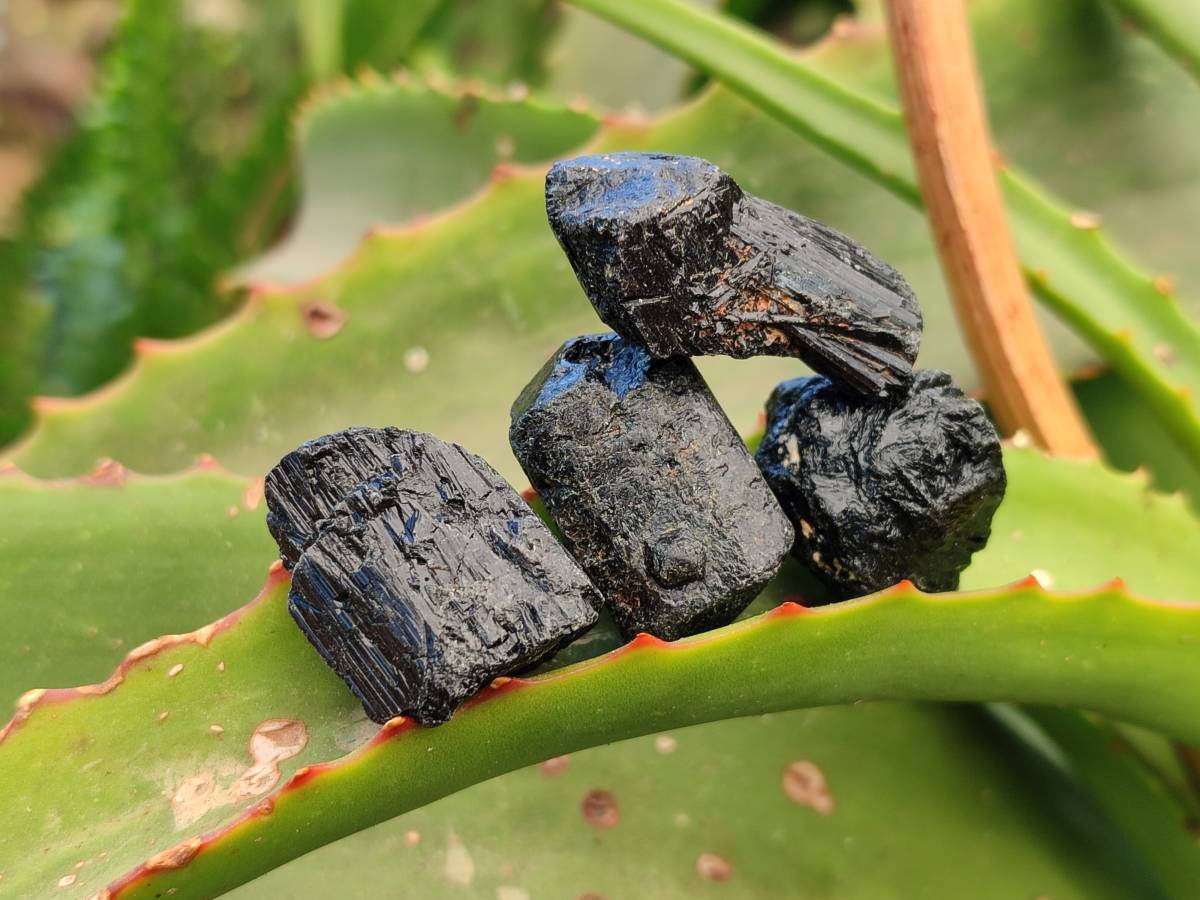 Natural Alluvial Schorl Black Tourmaline Crystals x 2.1 Kg Lot From Zimbabwe - Toprock Gemstones and Minerals 