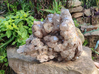 Natural XL Smokey Phantom Quartz Cluster x 1 From Luena, Congo