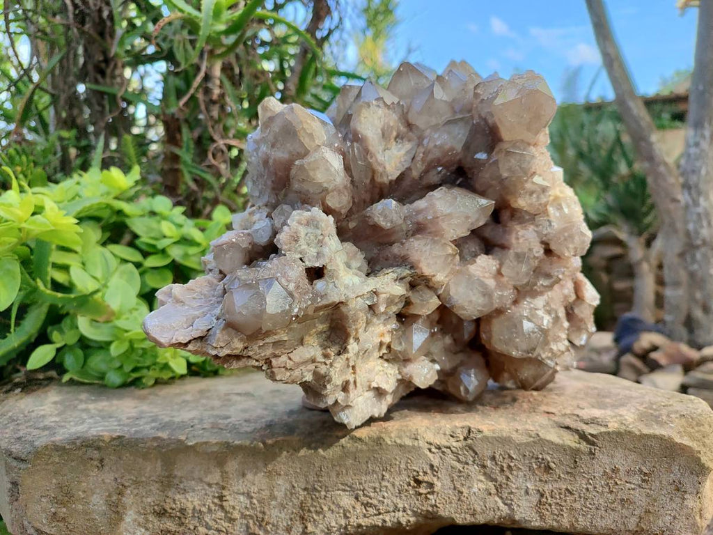 Natural XL Smokey Phantom Quartz Cluster x 1 From Luena, Congo - Toprock Gemstones and Minerals 