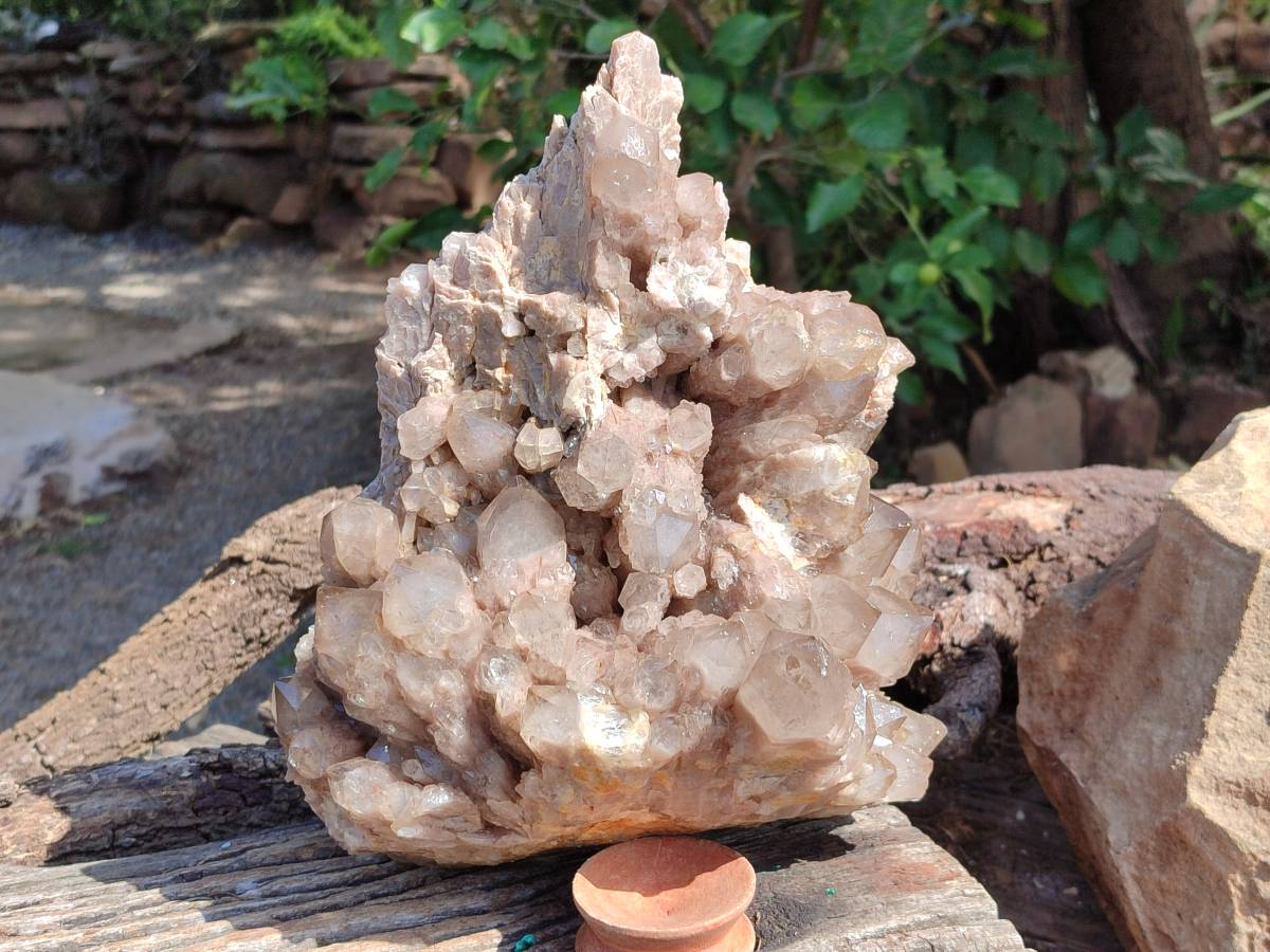 Natural XL Smokey Phantom Quartz Cluster x 1 From Luena, Congo - Toprock Gemstones and Minerals 