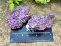 Natural Stichtite Cobbed Specimens x 35 From Barberton, South Africa