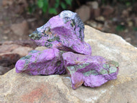 Natural Stichtite Cobbed Specimens x 35 From Barberton, South Africa